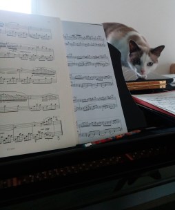 IMG_20170918_100038 (2)